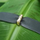 balance of nature supercar bracelet