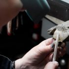 luxury design ring workshop