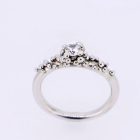 Berries solitaire 1 1